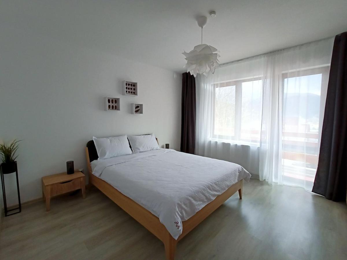 Zander Home Apartment Buşteni Exterior foto
